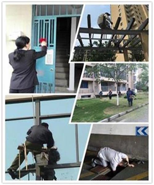 創平安、美麗家園